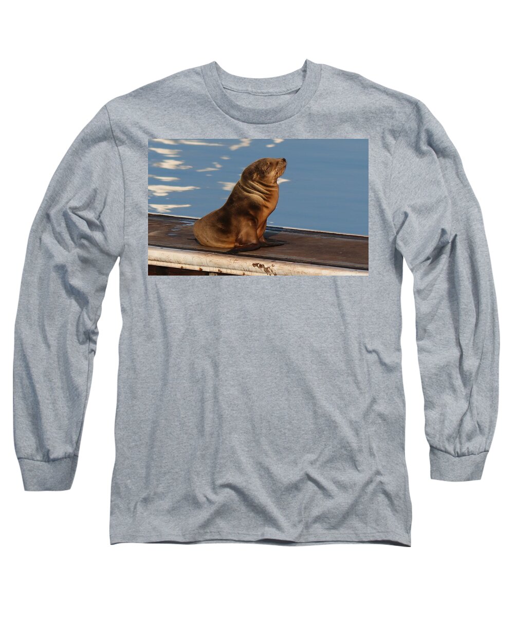 Wild Long Sleeve T-Shirt featuring the photograph Wild Pup Sun Bathing - 2 by Christy Pooschke