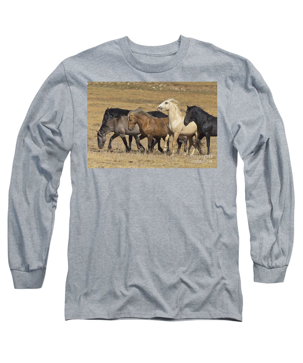 00537206 Long Sleeve T-Shirt featuring the photograph Wild Stallion Herd Pryor Mountain by Yva Momatiuk and John Eastcott