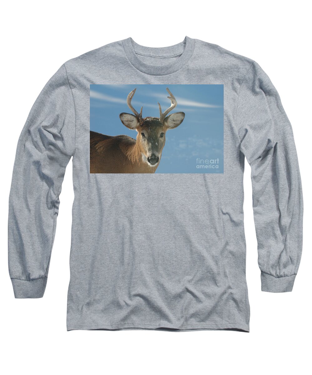 Eight-point Buck Long Sleeve T-Shirt featuring the photograph Winter Buck by Joan Wallner