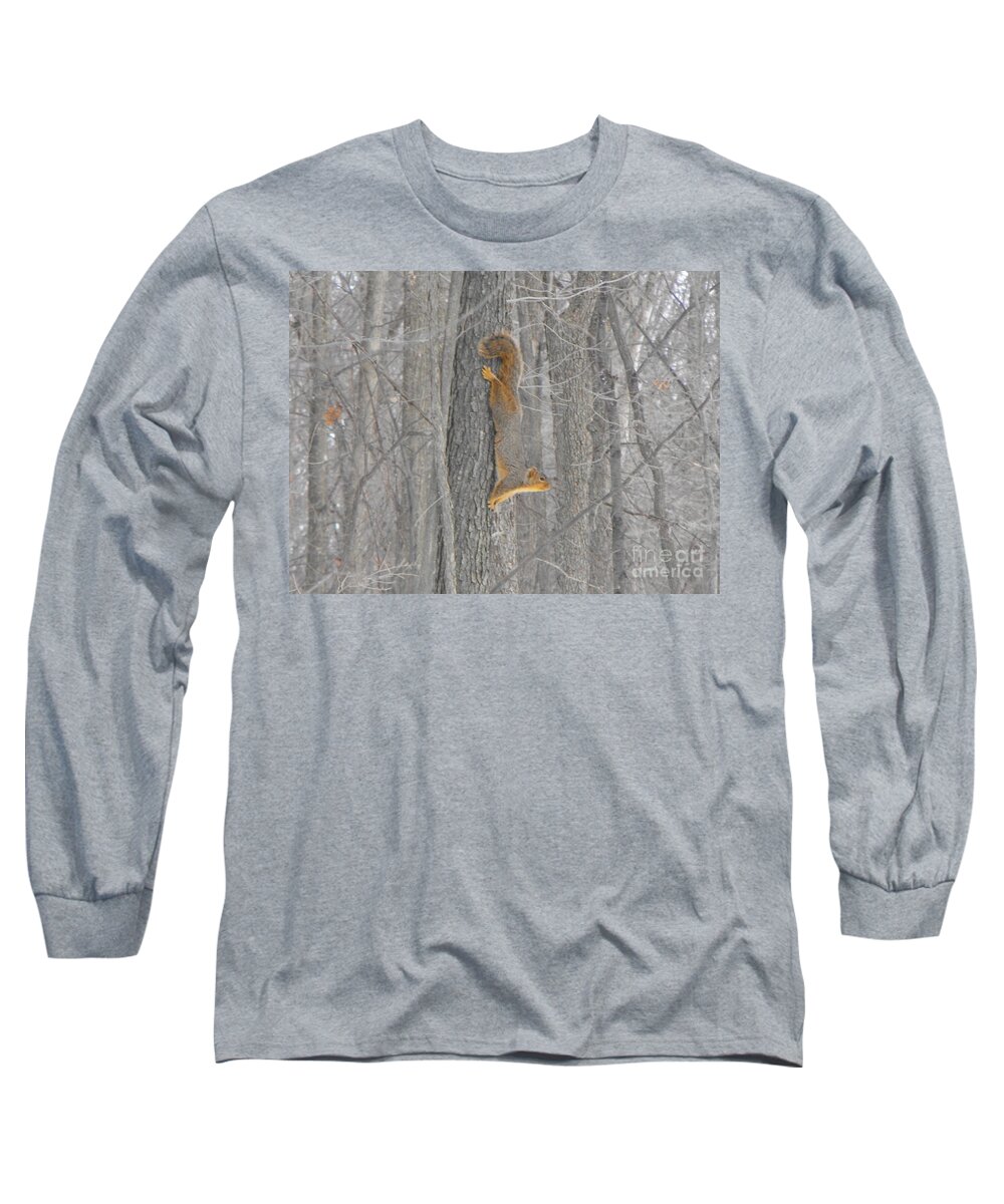 Nature Long Sleeve T-Shirt featuring the photograph Winter Squirrel by Erick Schmidt