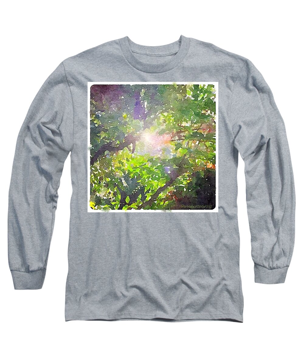 Winter Long Sleeve T-Shirt featuring the photograph Winter Sunlight Through Rhododendrons by Anna Porter