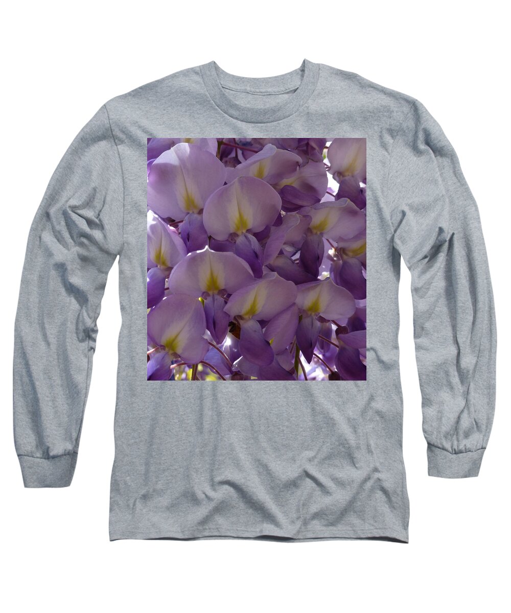 Purple Long Sleeve T-Shirt featuring the photograph Wisteria Hysteria by Claudia Goodell