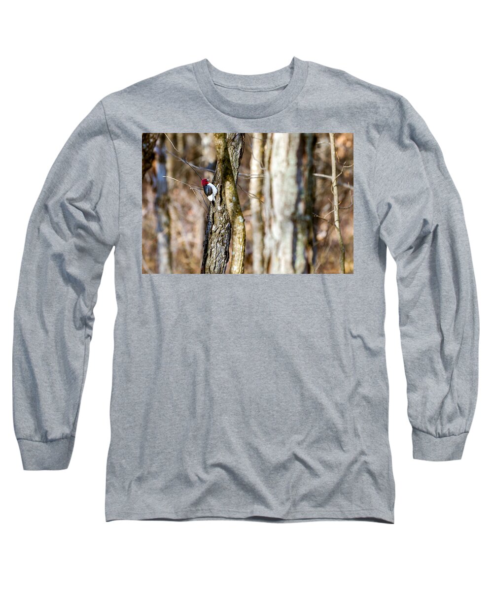 Woodpecker Long Sleeve T-Shirt featuring the photograph Woody by Sennie Pierson