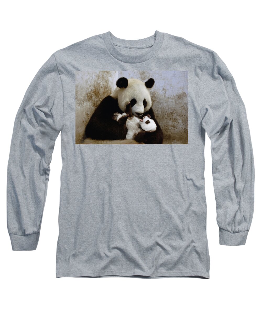 Mp Long Sleeve T-Shirt featuring the photograph Giant Panda Ailuropoda Melanoleuca #1 by Katherine Feng