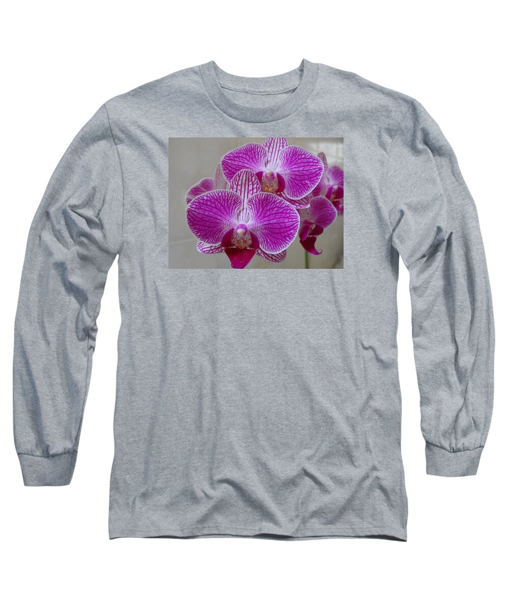 Phalaenopsis Orchid Long Sleeve T-Shirt featuring the photograph Phalaenopsis Orchid #2 by Marlene Challis