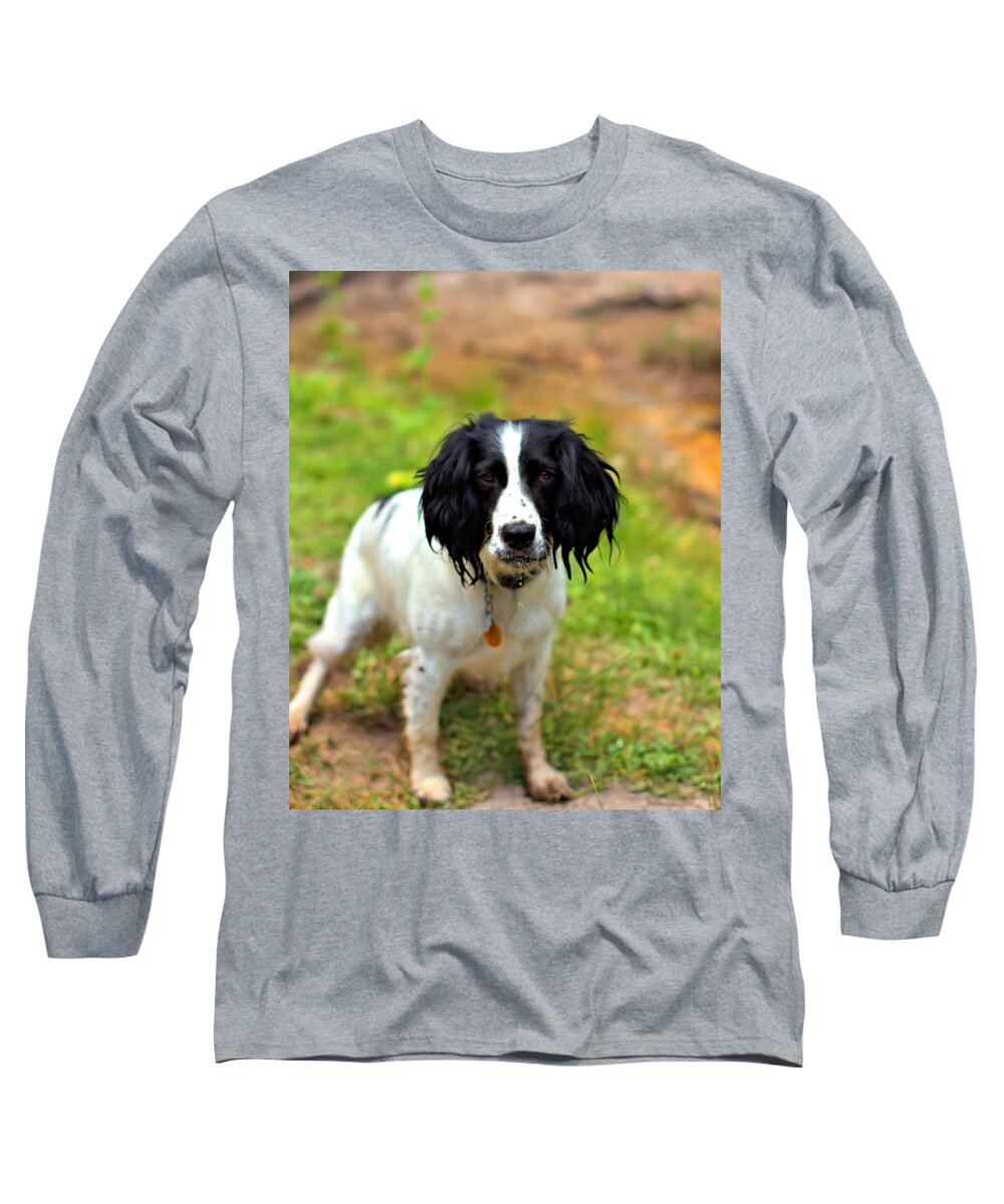Springer Spaniel Long Sleeve T-Shirt featuring the photograph Lady the Spaniel by Marlo Horne