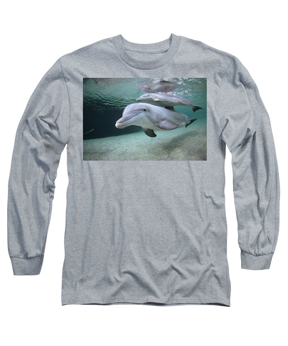 00087616 Long Sleeve T-Shirt featuring the photograph Bottlenose Dolphin Underwater Pair #4 by Flip Nicklin