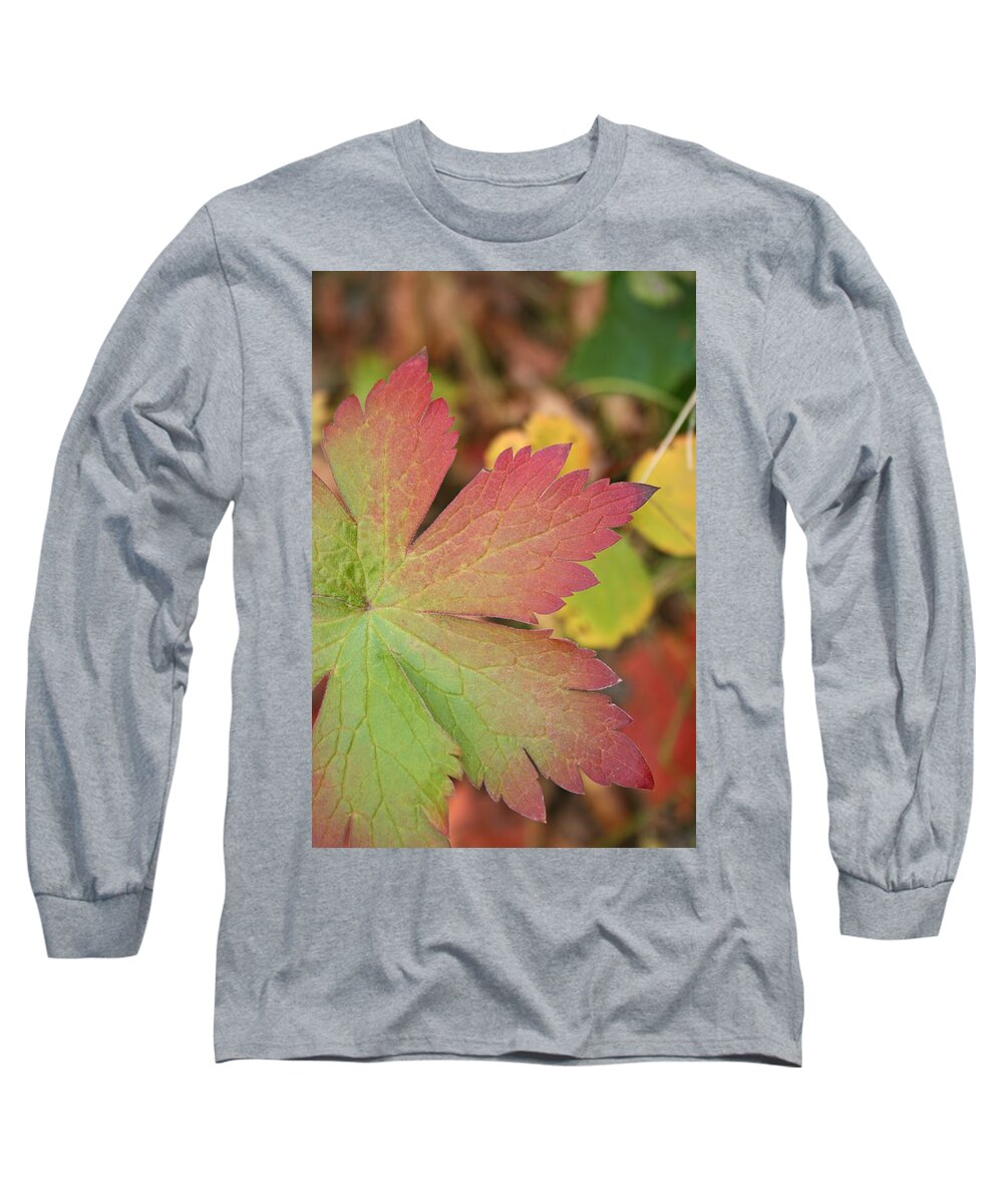 Leaves Long Sleeve T-Shirt featuring the photograph A Touch of Fall by Angie Schutt