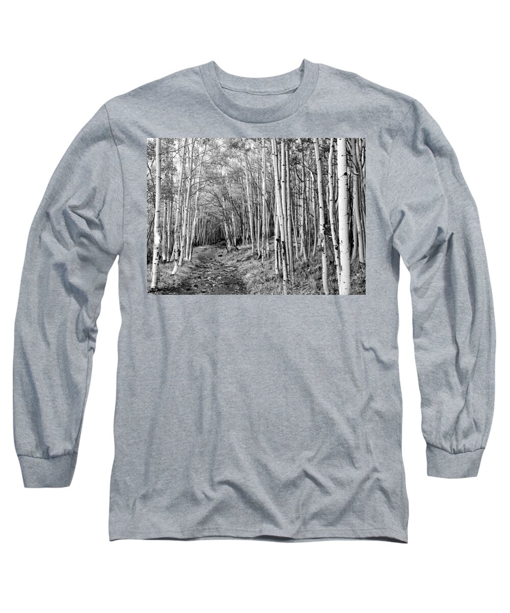 Aspen Long Sleeve T-Shirt featuring the photograph Aspen Forest by Farol Tomson