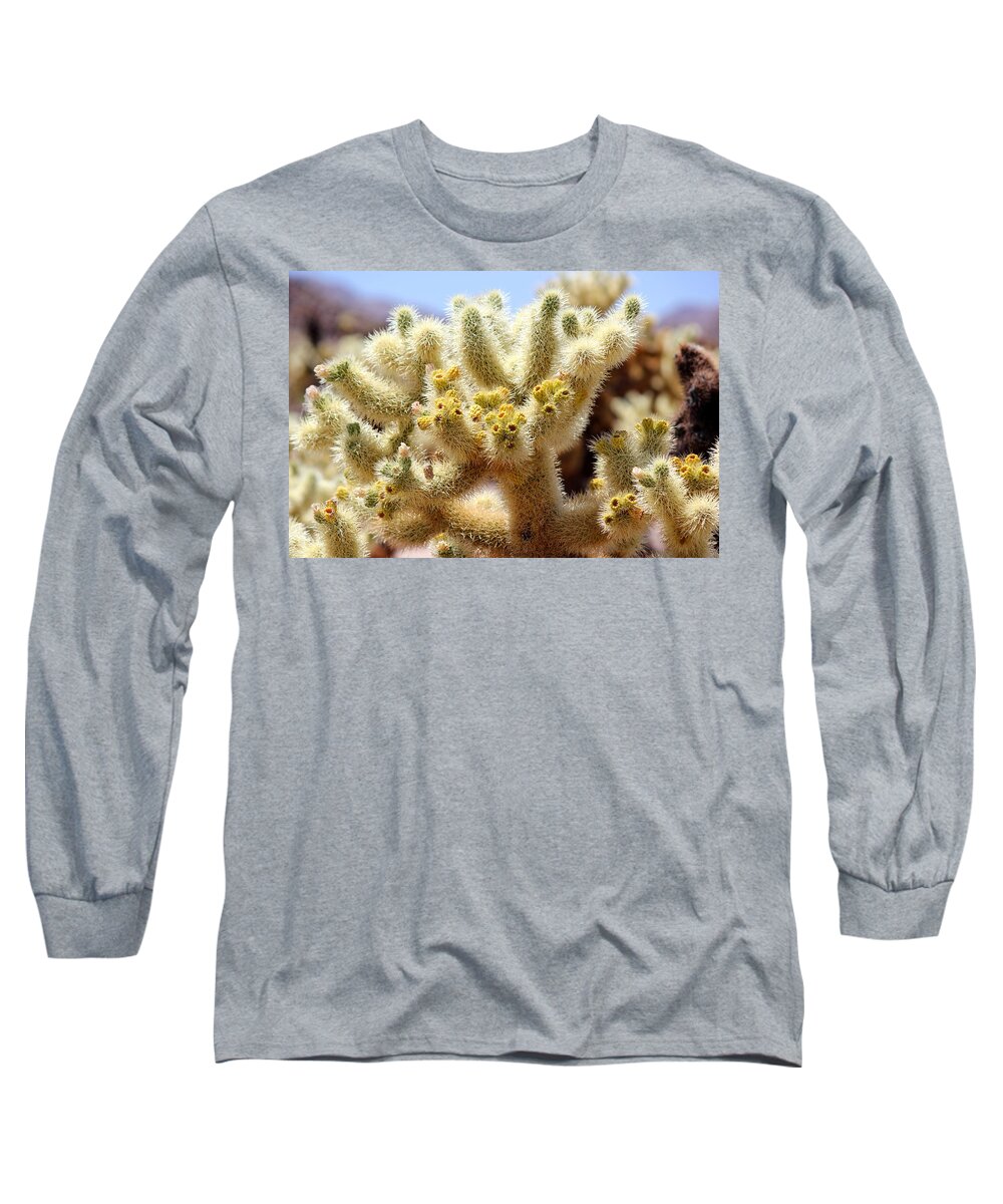 Teddy Bear Cholla Long Sleeve T-Shirt featuring the photograph Blooming Cholla by Leigh Meredith