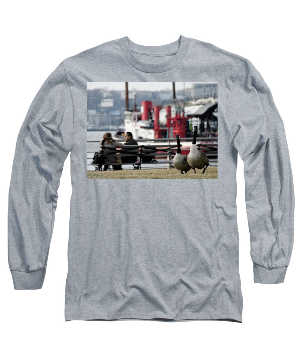 Canadian Geese Long Sleeve T-Shirt featuring the photograph City Geese by S Paul Sahm