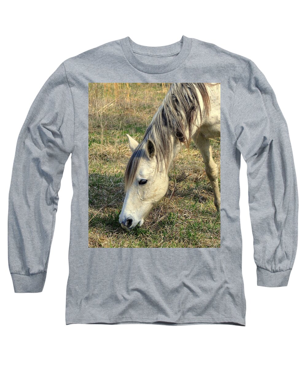 Horses Long Sleeve T-Shirt featuring the photograph Dinner Time by Marty Koch