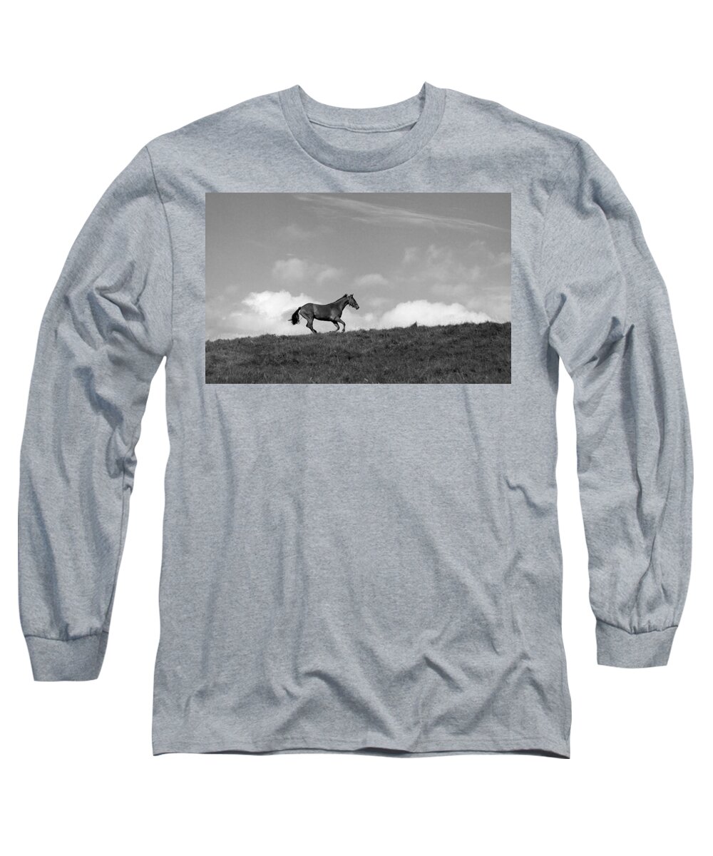 Landscape Long Sleeve T-Shirt featuring the photograph Hilltop Gallop by Jean Macaluso