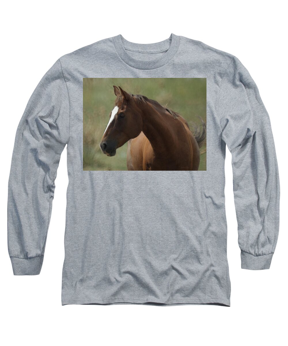 Horse Long Sleeve T-Shirt featuring the digital art Horse Painterly by Ernest Echols