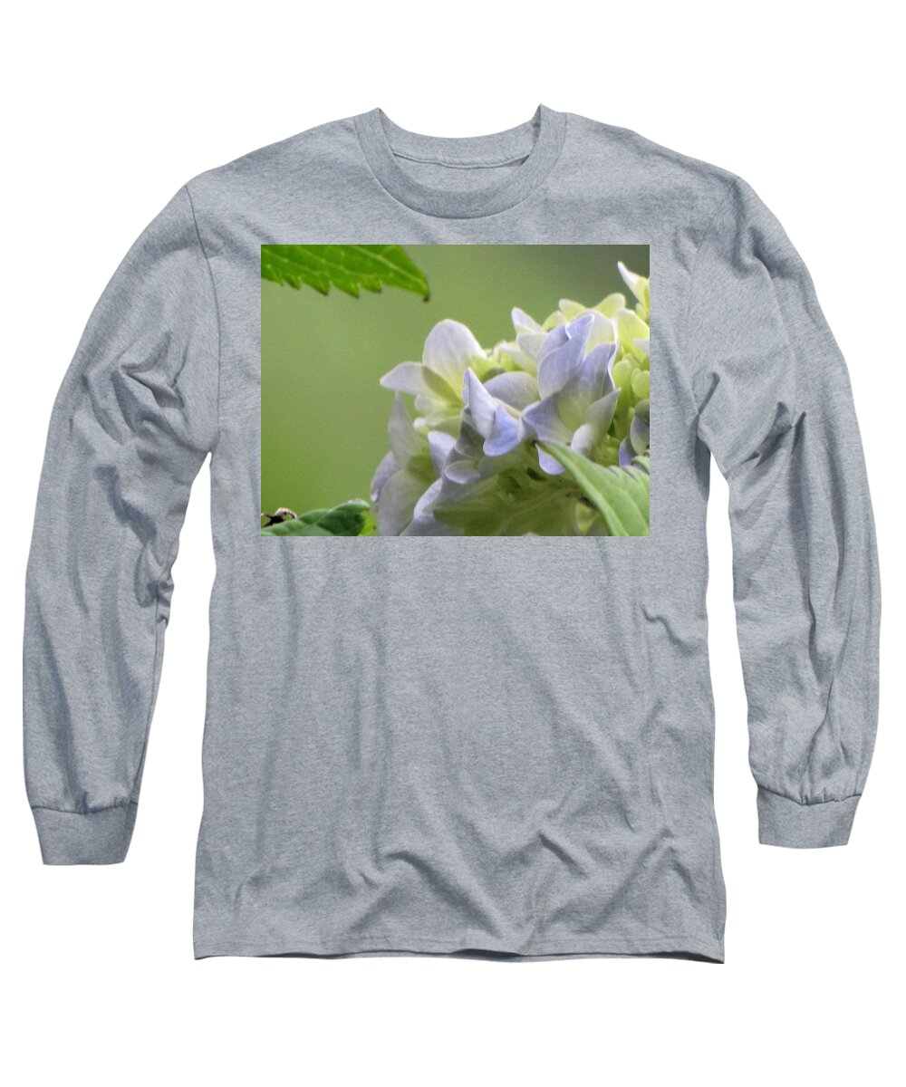 Hydrangea Long Sleeve T-Shirt featuring the photograph Hydrangea Blossom by KATIE Vigil