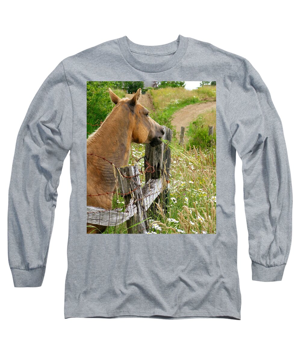 Horse Long Sleeve T-Shirt featuring the photograph Munching On Daisies by Rory Siegel