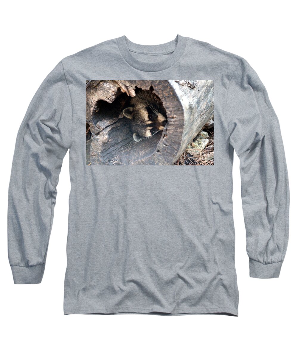 Raccoon Photos Long Sleeve T-Shirt featuring the photograph Raccoon In Hiding by Kathy White