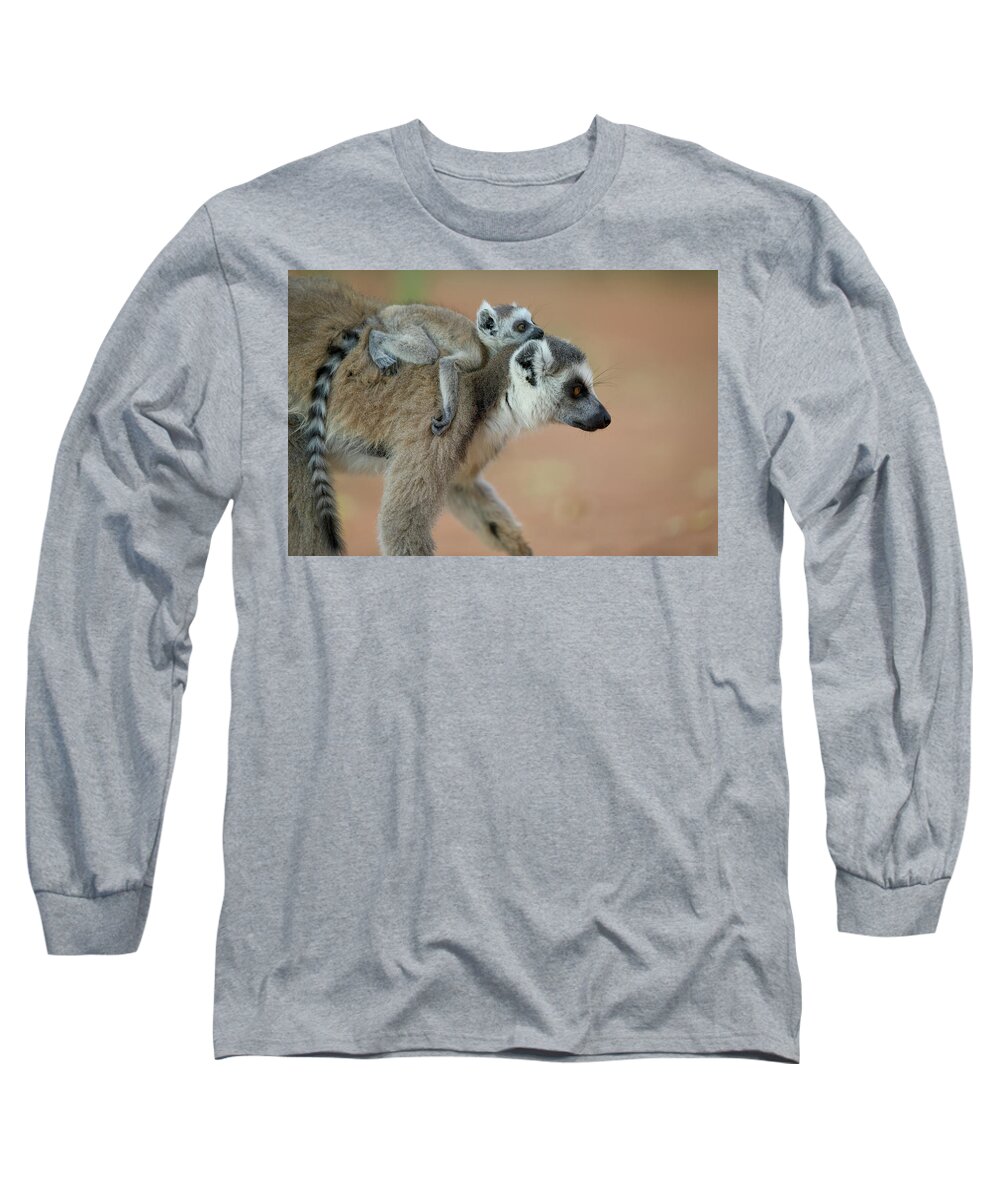 Mp Long Sleeve T-Shirt featuring the photograph Ring-tailed Lemur Lemur Catta Baby by Cyril Ruoso