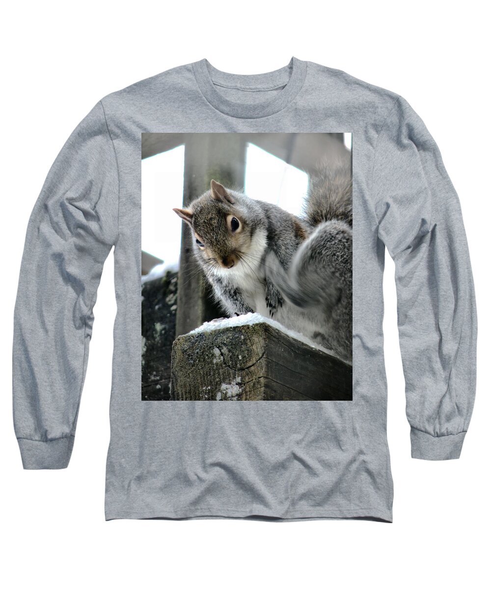 Squirrel Long Sleeve T-Shirt featuring the photograph Scratching An Itch by Rory Siegel