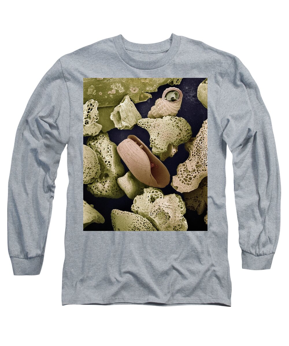 Mp Long Sleeve T-Shirt featuring the photograph Sem Close-up View Of Foraminiferans by Albert Lleal