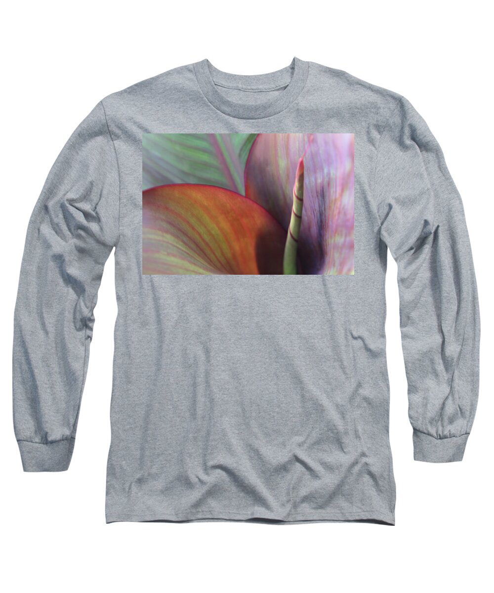Macro Flower Long Sleeve T-Shirt featuring the photograph Soft Focus Petal by Lorraine Devon Wilke