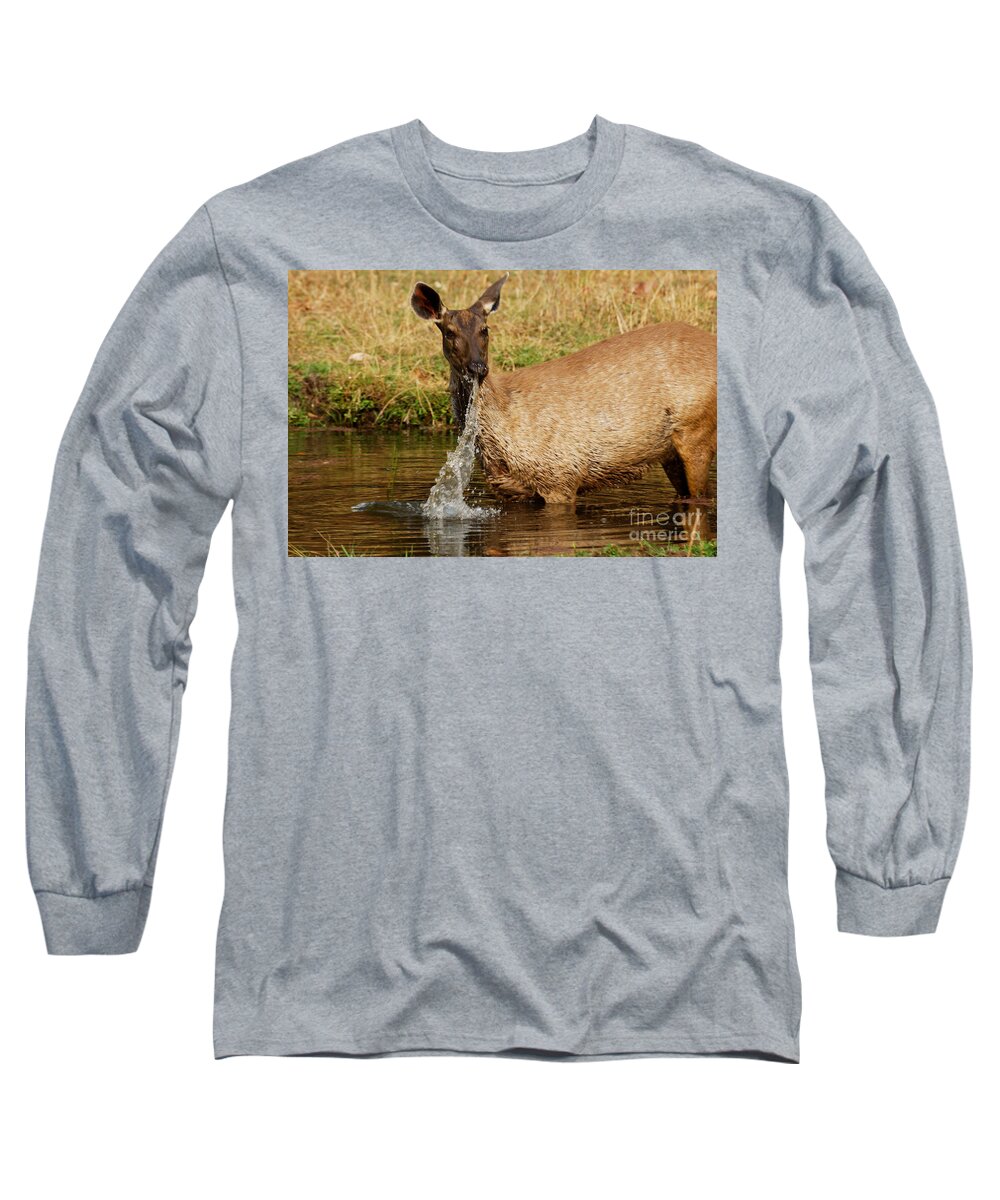 Bandhavgarh Long Sleeve T-Shirt featuring the photograph Startled by Fotosas Photography