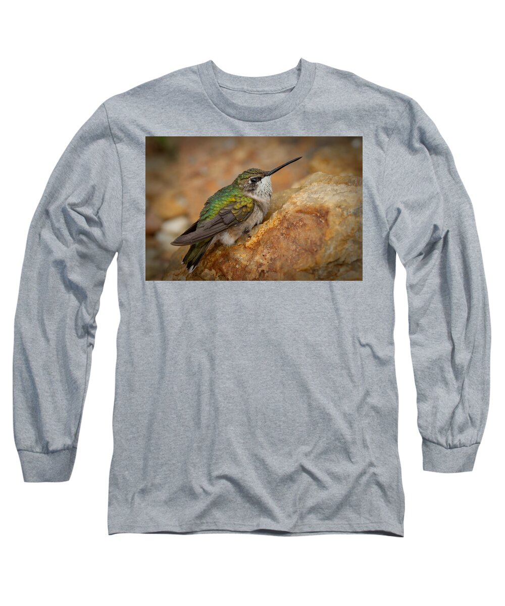 Animal Long Sleeve T-Shirt featuring the photograph Still Hummer by Joye Ardyn Durham