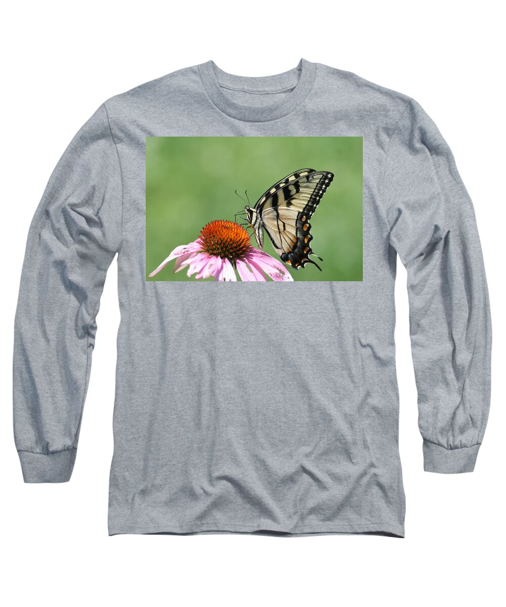  Long Sleeve T-Shirt featuring the photograph 'Swallowtail on Euchinacea' by PJQandFriends Photography