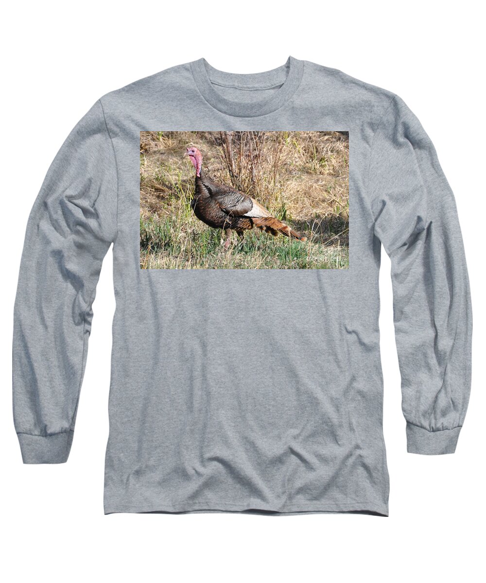 Turkey Long Sleeve T-Shirt featuring the photograph Turkey in the Straw by Dorrene BrownButterfield