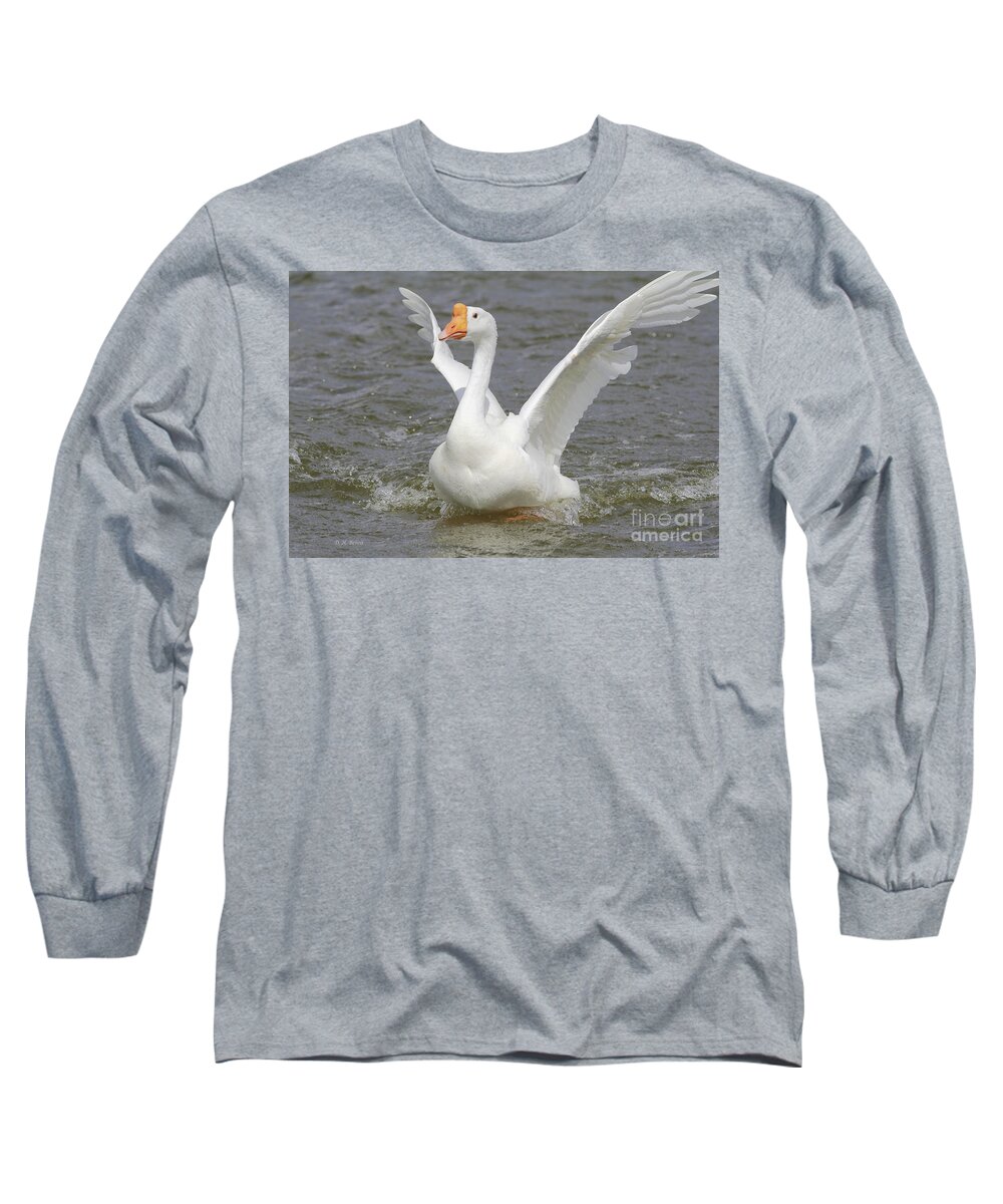 Goose Long Sleeve T-Shirt featuring the photograph White Goose by Deborah Benoit