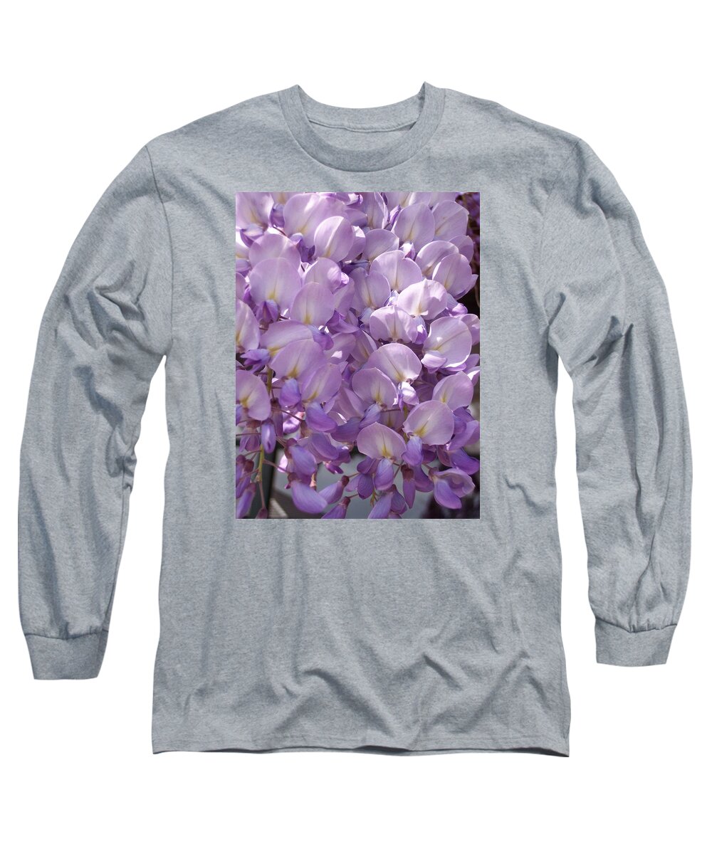 Wisteria Long Sleeve T-Shirt featuring the photograph Wisteria by Marlene Challis