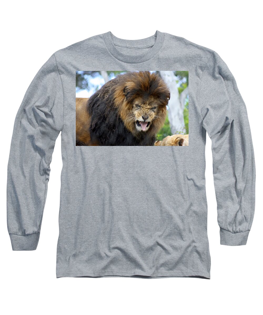 Lion Long Sleeve T-Shirt featuring the photograph Yuck vegetables by Randy Wehner