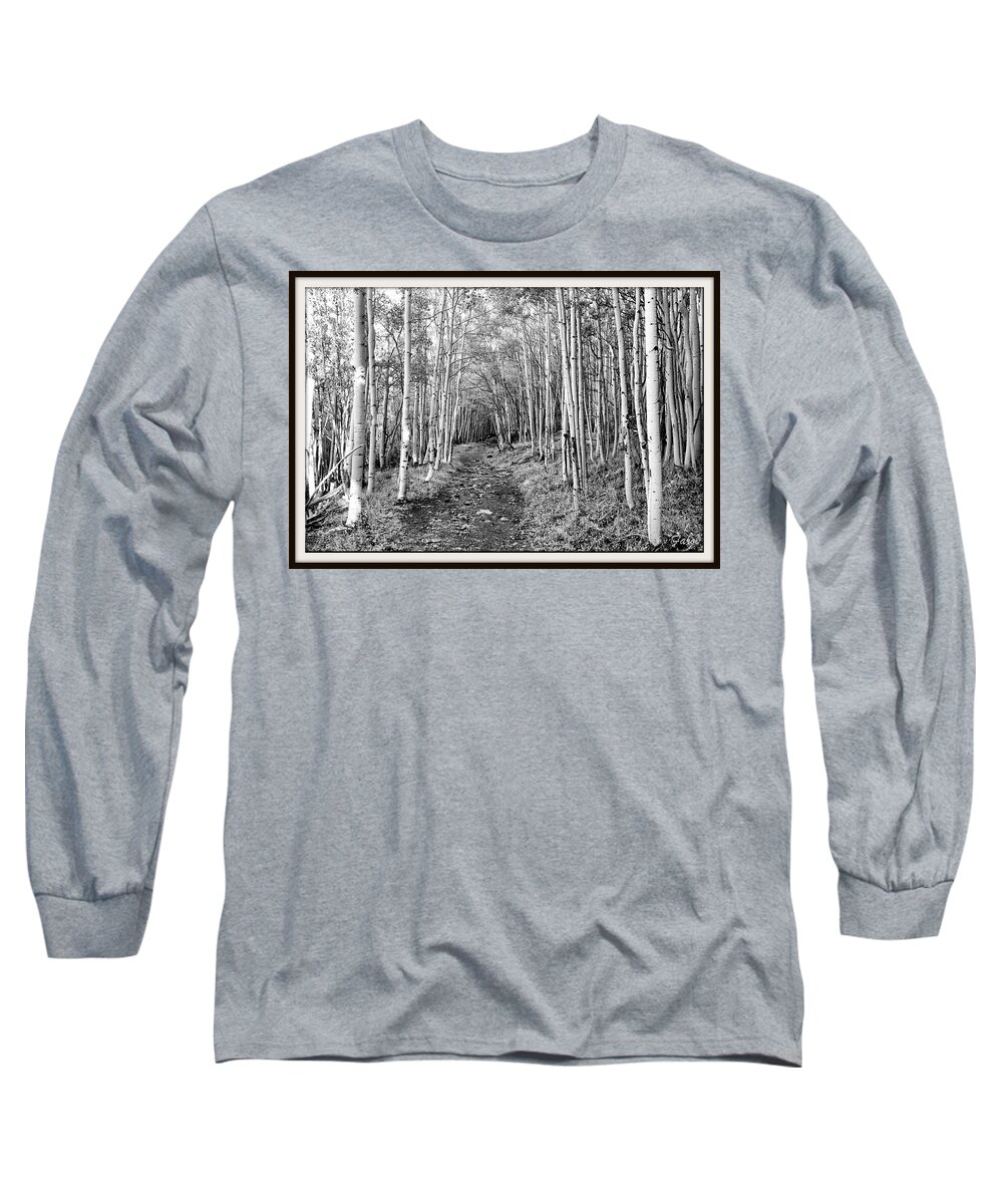 Aspen Long Sleeve T-Shirt featuring the photograph Aspen Forest by Farol Tomson