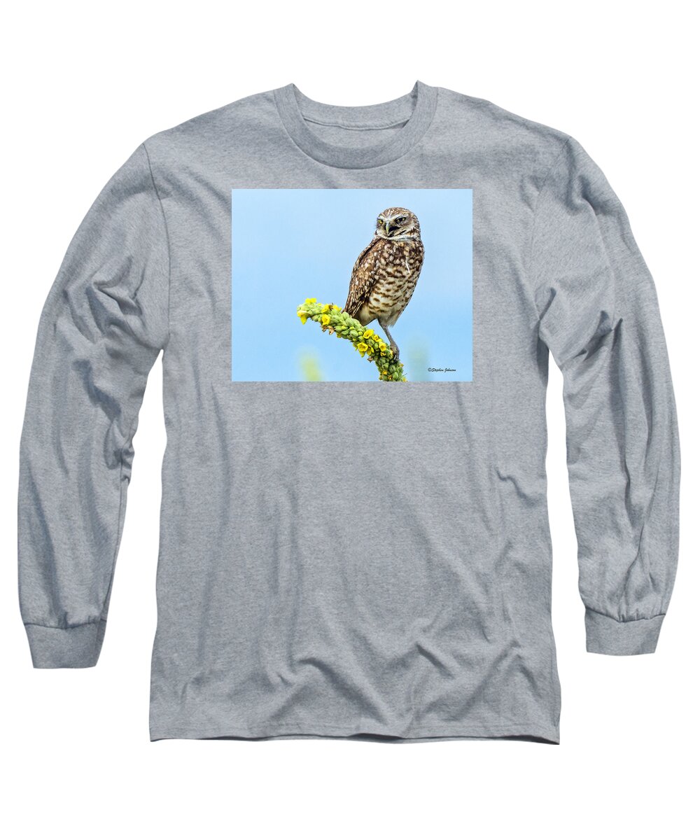 Burrowing Owl Long Sleeve T-Shirt featuring the photograph Burrowing Owl on Mullein Plant #1 by Stephen Johnson