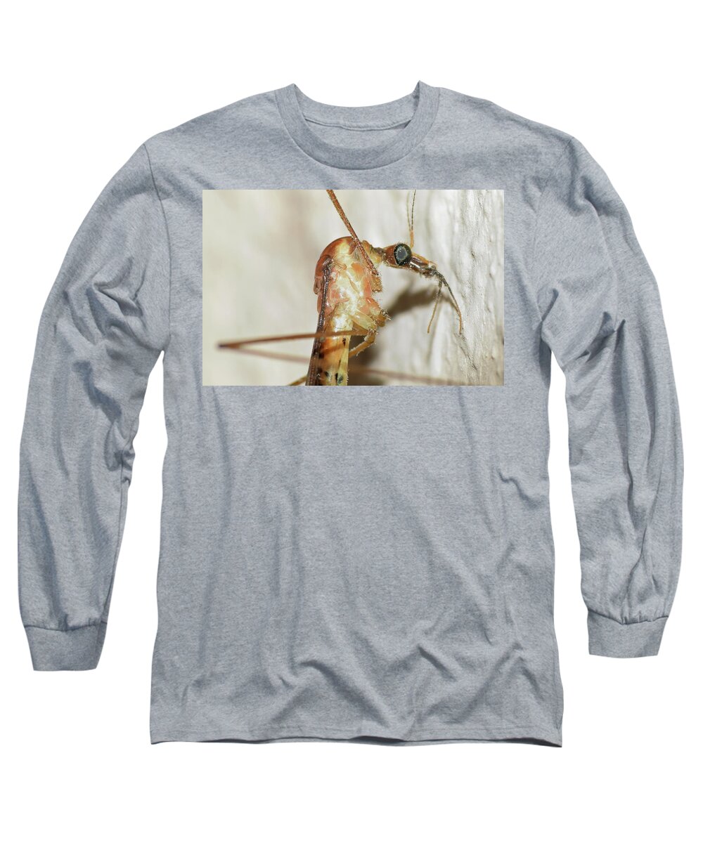 Photograph Long Sleeve T-Shirt featuring the photograph Crane Fly #1 by Larah McElroy