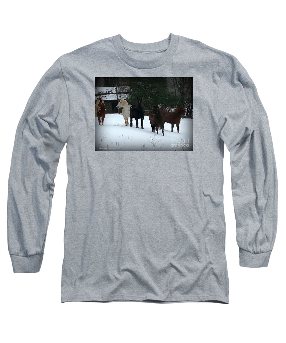 Horses Long Sleeve T-Shirt featuring the photograph It Snowed #1 by Rabiah Seminole