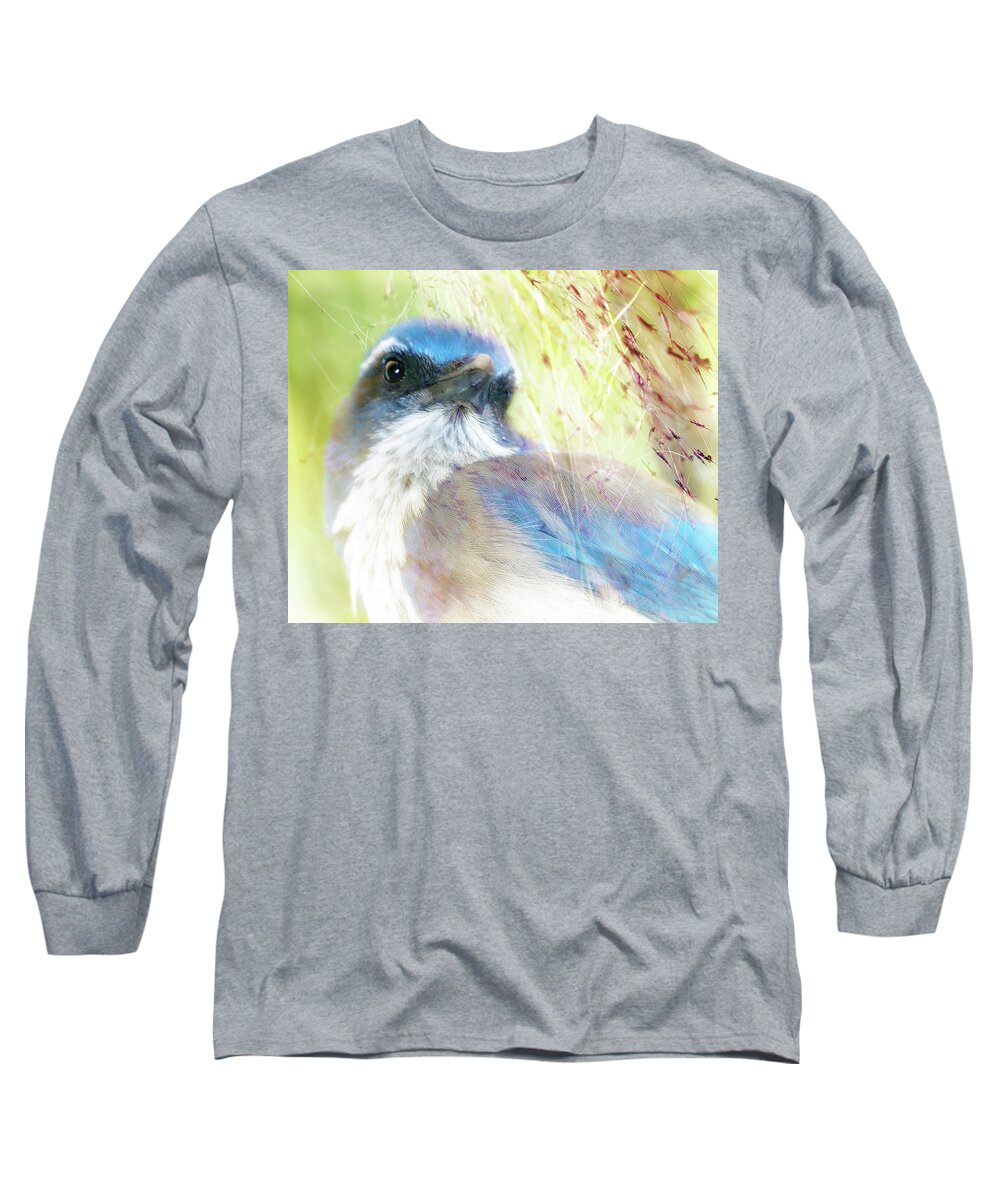 Blue Long Sleeve T-Shirt featuring the photograph Jay #1 by Camille Lopez