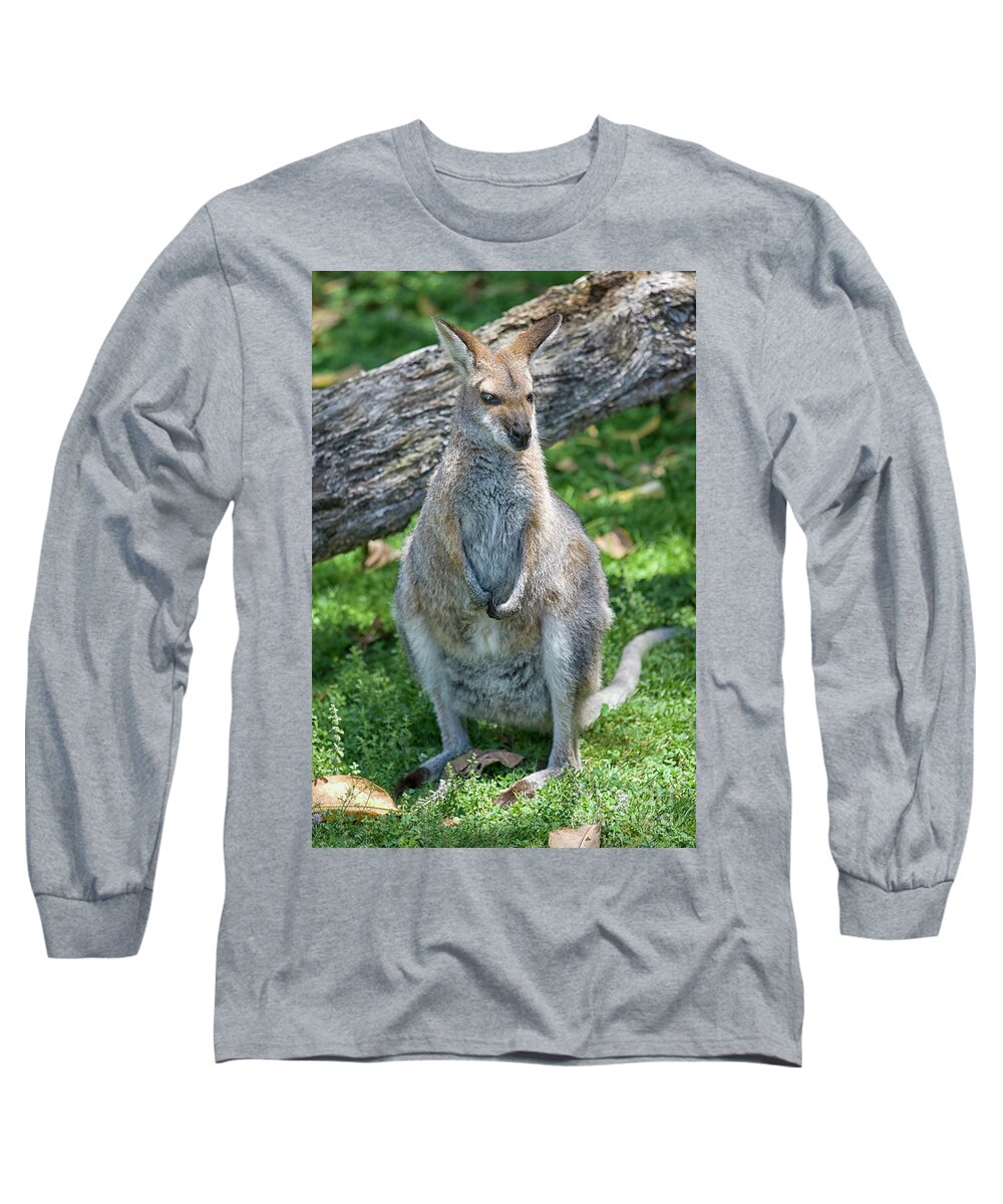 Kangaroo Long Sleeve T-Shirt featuring the photograph Kangaroo by Patricia Hofmeester