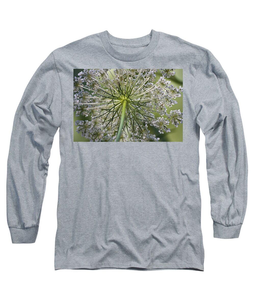 Queen Anne's Lace Long Sleeve T-Shirt featuring the photograph Look Up #1 by Teresa Mucha