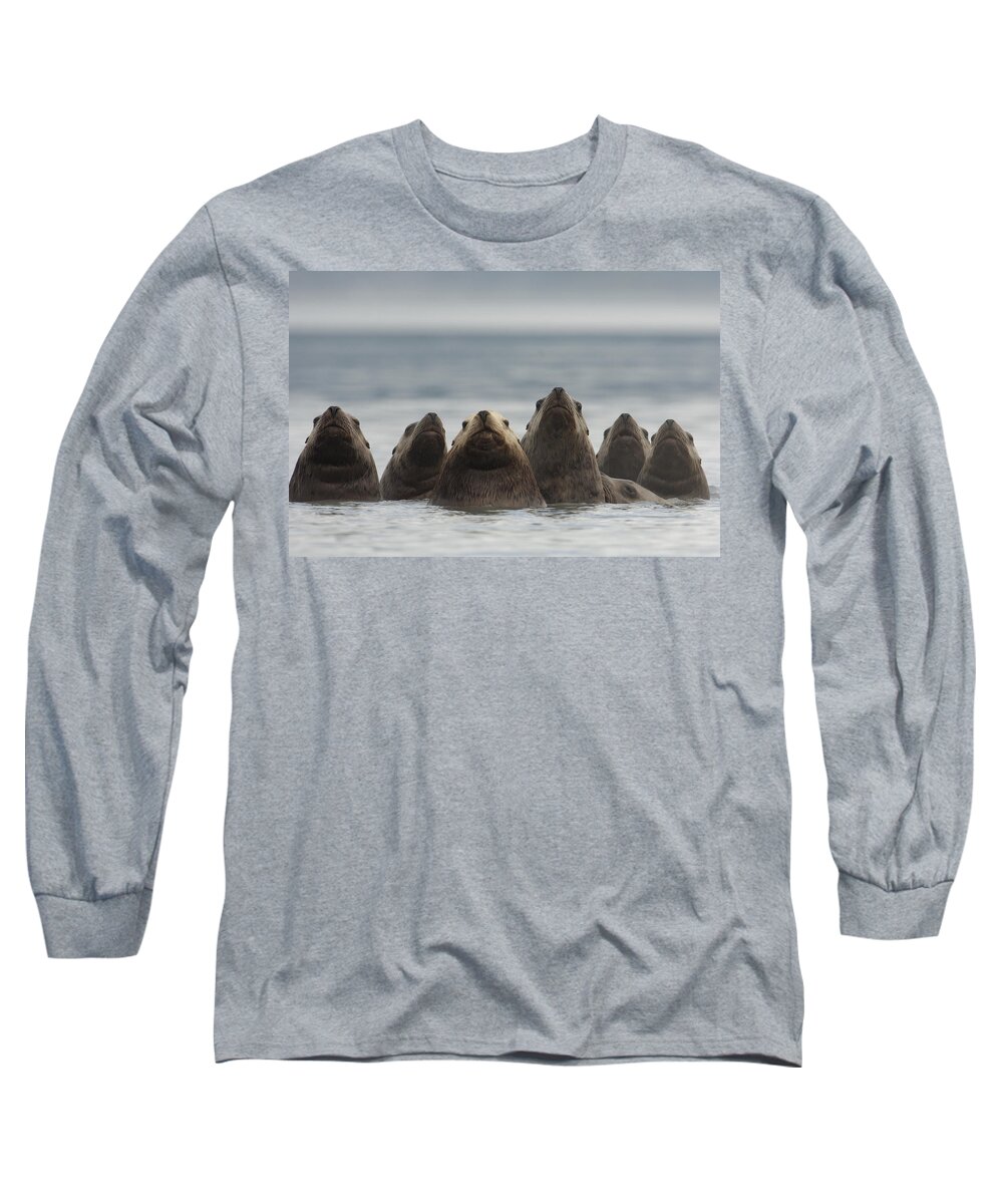 Mp Long Sleeve T-Shirt featuring the photograph Stellers Sea Lion Eumetopias Jubatus #1 by Michael Quinton