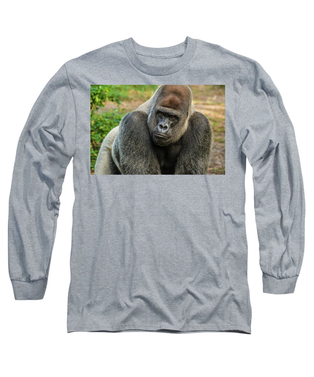 Silver Backed Gorilla Long Sleeve T-Shirt featuring the photograph 10898 Gorilla by Pamela Williams