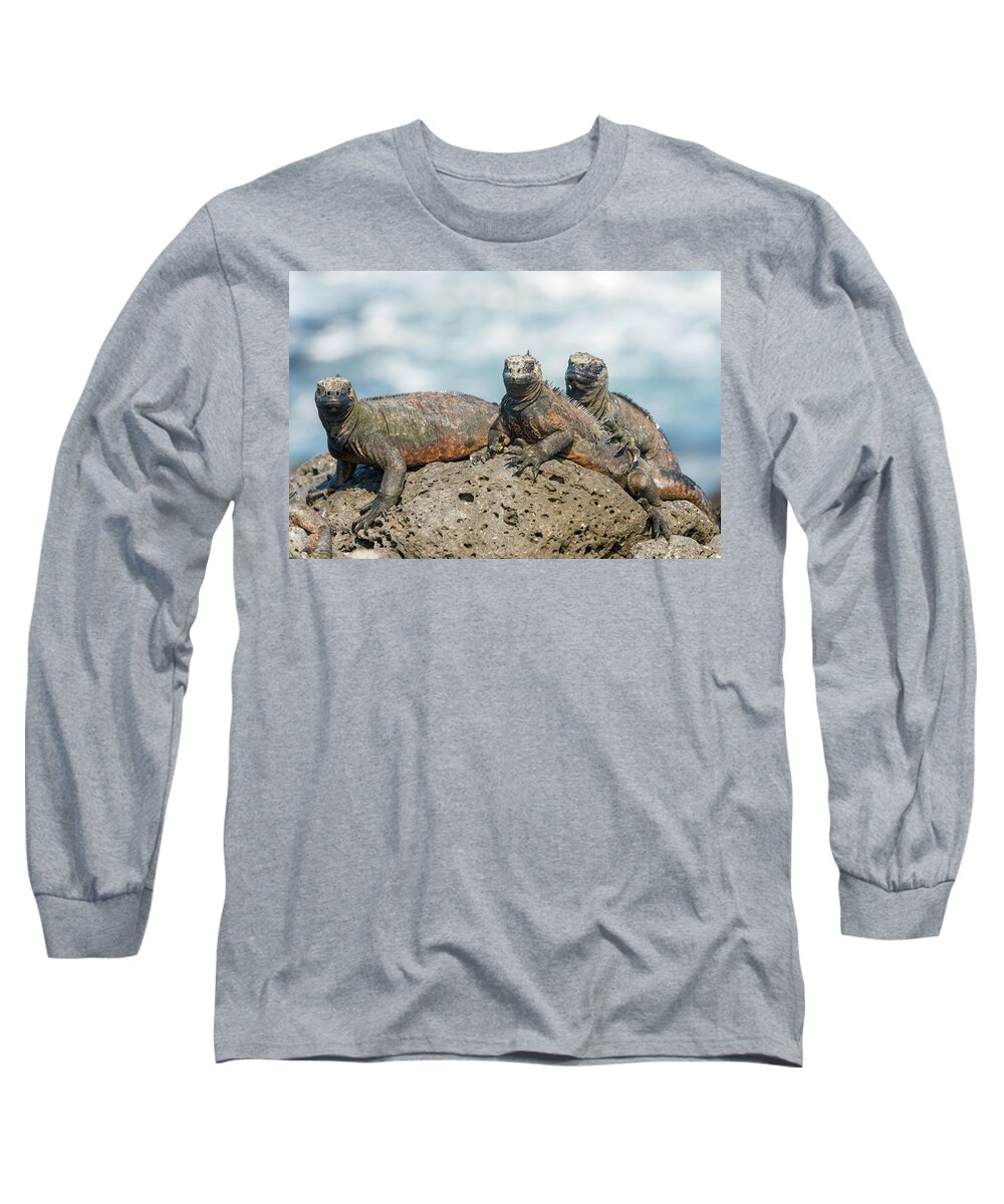Marine Iguana Long Sleeve T-Shirt featuring the photograph Marine Iguana on Galapagos Islands #12 by Marek Poplawski