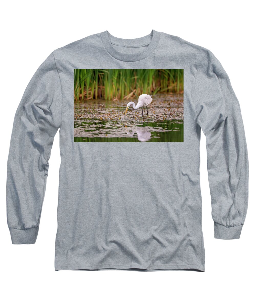 Animal Long Sleeve T-Shirt featuring the photograph White, Great Egret #15 by Peter Lakomy