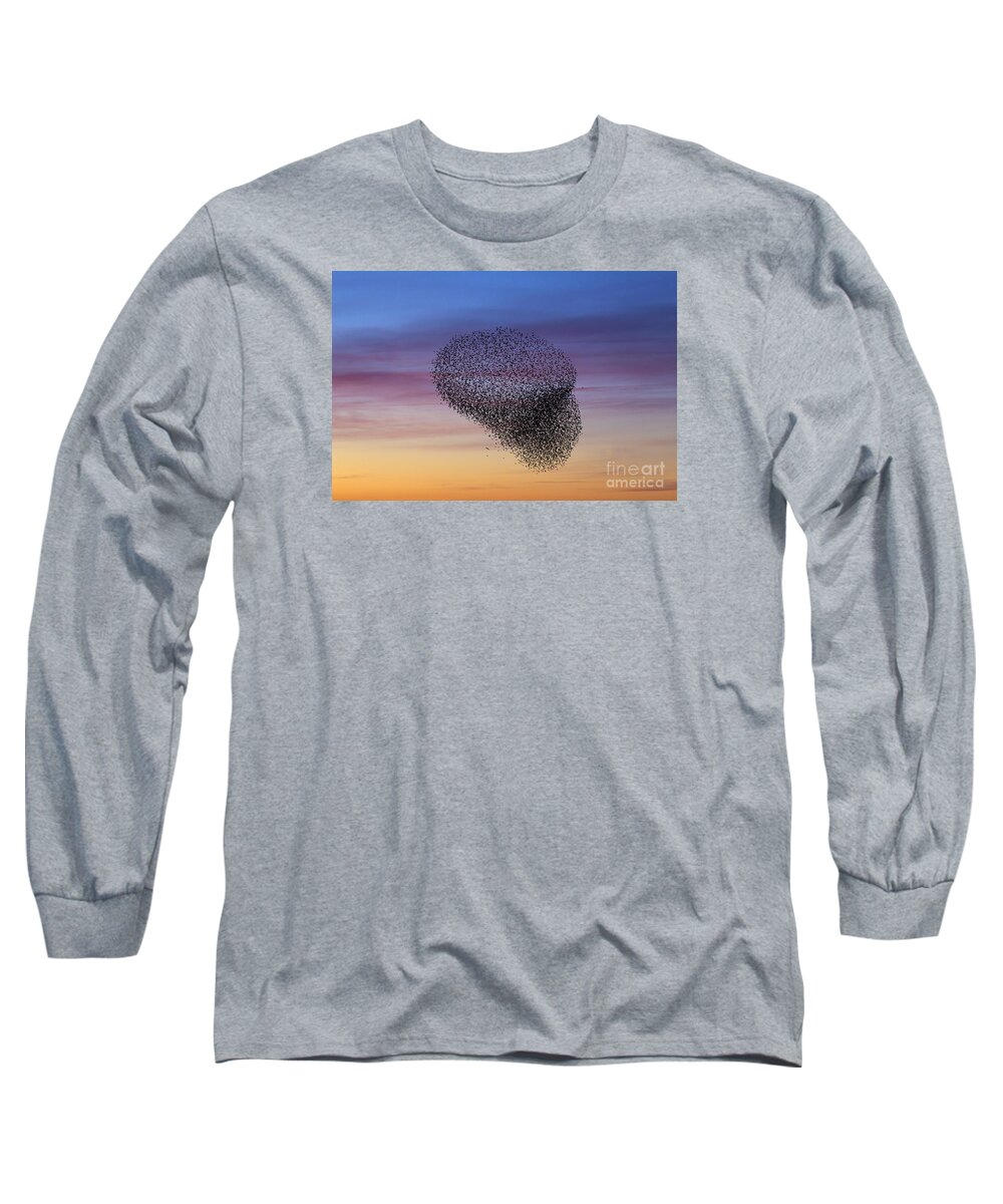 Common Starling Long Sleeve T-Shirt featuring the photograph 150501p260 by Arterra Picture Library