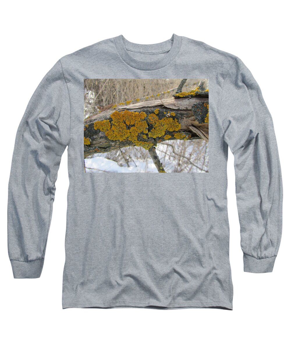Moss Long Sleeve T-Shirt featuring the photograph Moss #16 by Mariel Mcmeeking