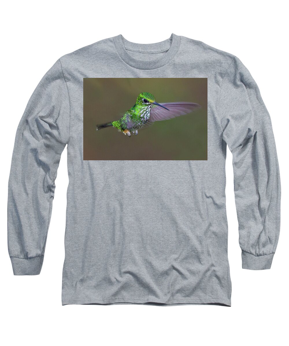 2015 Long Sleeve T-Shirt featuring the photograph Booted Racket-tail #1 by Jean-Luc Baron