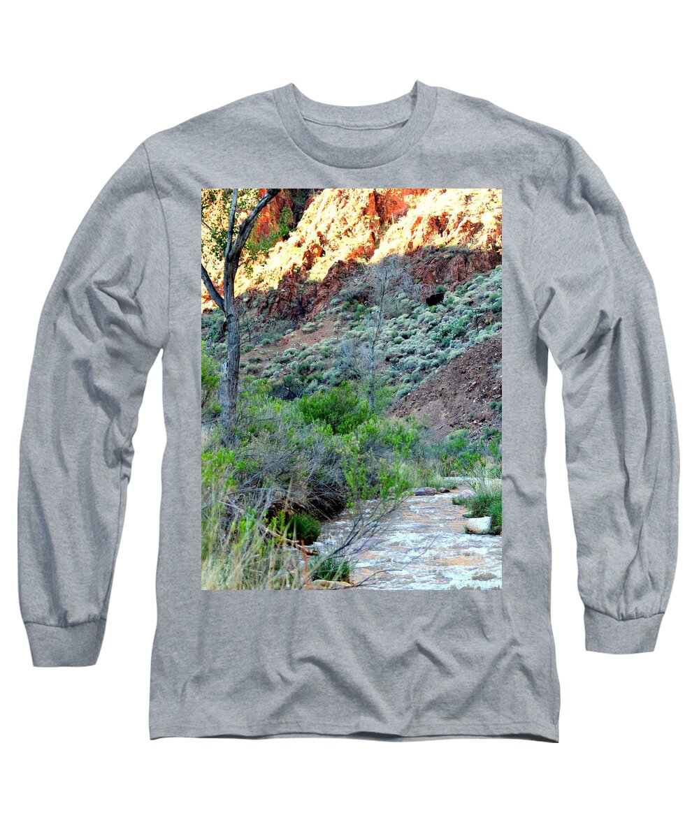 Grand Canyon Long Sleeve T-Shirt featuring the photograph Bright Angel Creek Phantom #2 by Carol Komassa