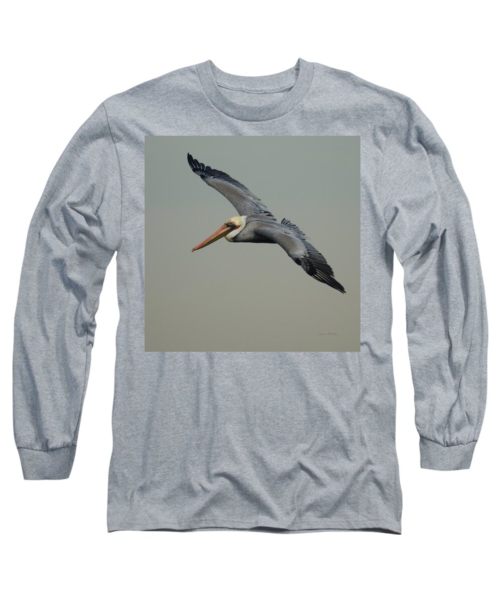 Pelican Long Sleeve T-Shirt featuring the photograph Brown Pelican #2 by Ernest Echols