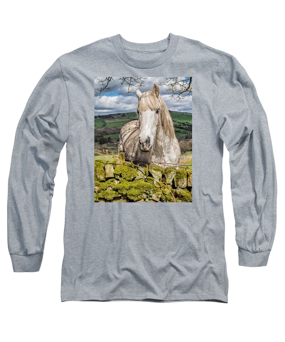 Birds & Animals Long Sleeve T-Shirt featuring the photograph Rustic Horse #2 by Nick Bywater