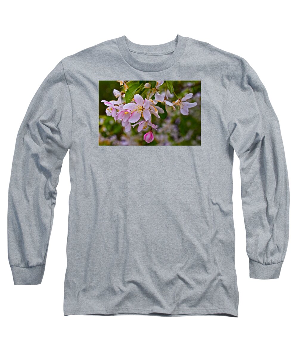 Crabapple Blossoms Long Sleeve T-Shirt featuring the photograph 2015 Spring at the Gardens White Crabapple Blossoms 1 by Janis Senungetuk